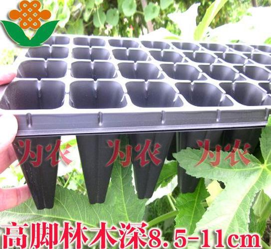 請(qǐng)注意:本圖片來(lái)自臺(tái)州市路橋?yàn)檗r(nóng)篩網(wǎng)廠提供的苗木穴盤,高腳林木育苗