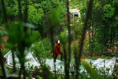 又近又美 寧鄉(xiāng)又添一個(gè)大公園 即將驚艷開(kāi)園