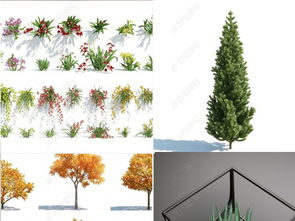 幾十款精致植物樹(shù)木花草3dmax軟件模型設(shè)計(jì)模型下載