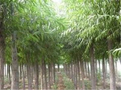 產(chǎn)品中心桂林江泰投資