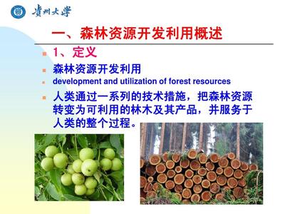 第五章 森林資源開發(fā)利用PPT
